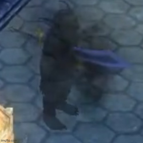 8v7qex.jpg