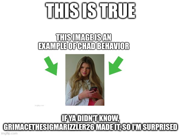 THIS IS TRUE; IF YA DIDN'T KNOW, GRIMACETHESIGMARIZZLER26 MADE IT, SO I'M SURPRISED | made w/ Imgflip meme maker