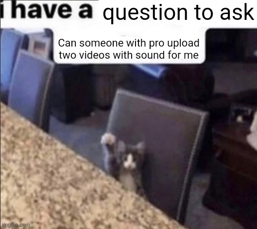 Yuh | question to ask; Can someone with pro upload two videos with sound for me | image tagged in i have a blank | made w/ Imgflip meme maker