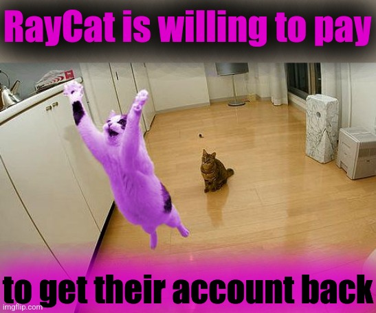 If Imgflip built the code, how much should it cost for a user to restore a deleted account? | RayCat is willing to pay; to get their account back | image tagged in raycat save the world,i should buy a boat raycat,raycat | made w/ Imgflip meme maker