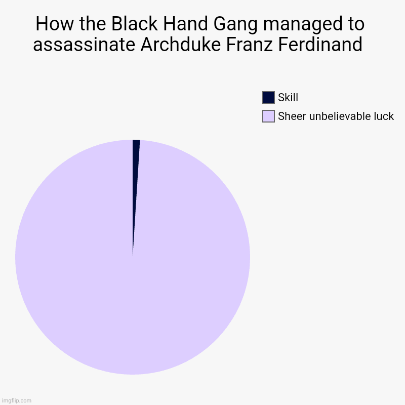 It's true | How the Black Hand Gang managed to assassinate Archduke Franz Ferdinand  | Sheer unbelievable luck, Skill | image tagged in charts,pie charts | made w/ Imgflip chart maker