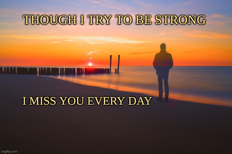 Missing You | THOUGH I TRY TO BE STRONG; I MISS YOU EVERY DAY | image tagged in missing you | made w/ Imgflip meme maker