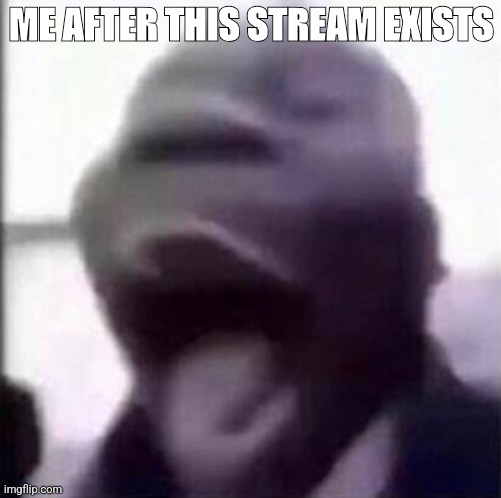 for the love of god another guy screaming | ME AFTER THIS STREAM EXISTS | image tagged in for the love of god another guy screaming,stream | made w/ Imgflip meme maker