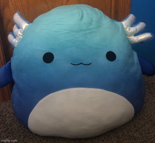 squishy | image tagged in squishy | made w/ Imgflip meme maker