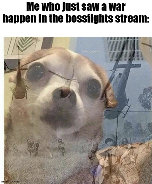 PTSD Chihuahua | Me who just saw a war happen in the bossfights stream: | image tagged in ptsd chihuahua | made w/ Imgflip meme maker