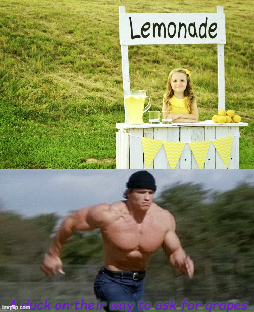 A duck on their way to ask for grapes | image tagged in lemonade stand,running arnold | made w/ Imgflip meme maker