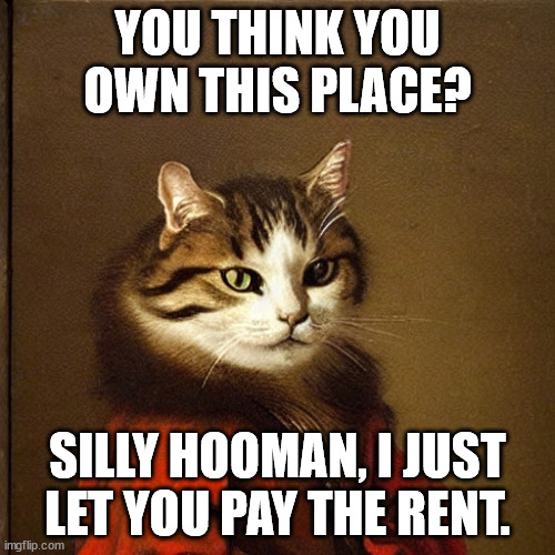 Humans Are Silly | YOU THINK YOU OWN THIS PLACE? SILLY HOOMAN, I JUST LET YOU PAY THE RENT. | image tagged in royal cat | made w/ Imgflip meme maker