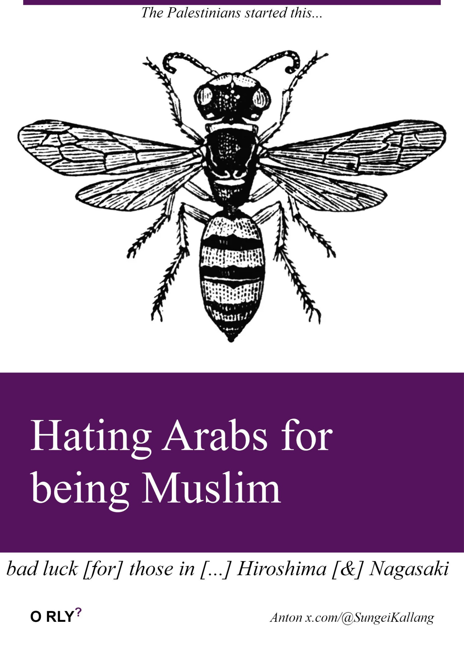 Hating arabs for being Muslim Template Blank Meme Template