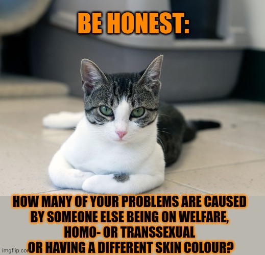 This #lolcat wonders why hoo-mens get upset by things that absolutely don't concern or affect them | BE HONEST:; HOW MANY OF YOUR PROBLEMS ARE CAUSED 
BY SOMEONE ELSE BEING ON WELFARE, 
HOMO- OR TRANSSEXUAL 
OR HAVING A DIFFERENT SKIN COLOUR? | image tagged in homophobia,transphobic,racism,lolcat | made w/ Imgflip meme maker