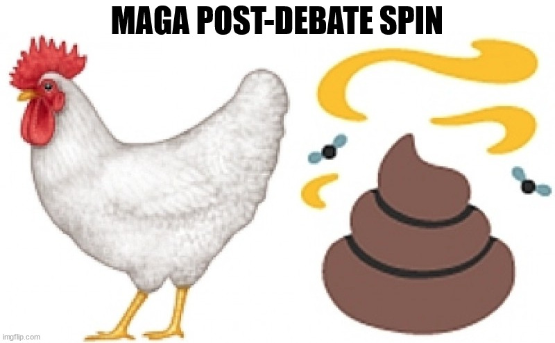 Trump made no new friends. The swing voter still hates him. That's not winning. | MAGA POST-DEBATE SPIN | image tagged in trump,maga,spin,pathetic,lies | made w/ Imgflip meme maker