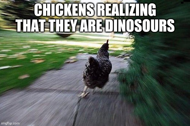 Chicken Running | CHICKENS REALIZING THAT THEY ARE DINOSOURS | image tagged in chicken running | made w/ Imgflip meme maker
