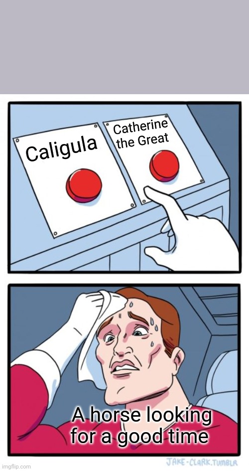 Two Buttons Meme | Catherine the Great; Caligula; A horse looking for a good time | image tagged in memes,two buttons | made w/ Imgflip meme maker