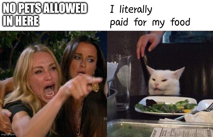 I'm running out of ideas | NO PETS ALLOWED
IN HERE; I literally paid for my food | image tagged in memes,woman yelling at cat,fun,funny | made w/ Imgflip meme maker