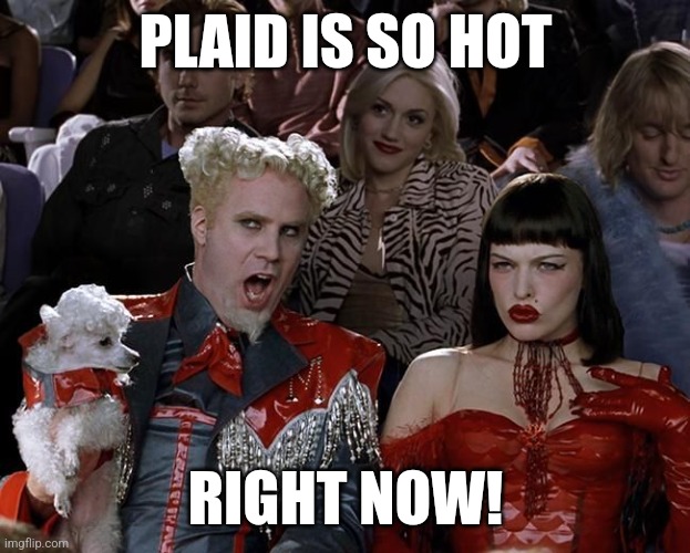 So Hot Right Now | PLAID IS SO HOT; RIGHT NOW! | image tagged in so hot right now | made w/ Imgflip meme maker