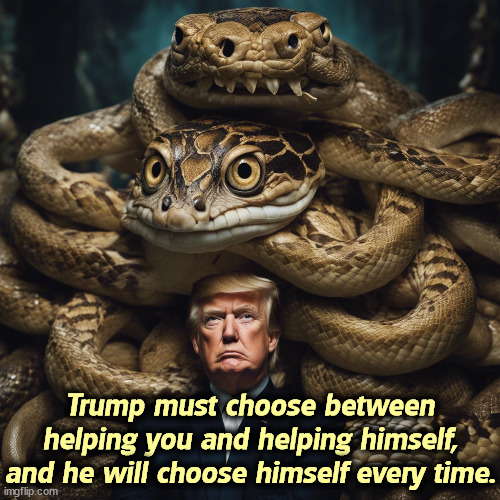 Trump must choose between helping you and helping himself, and he will choose himself every time. | image tagged in trump,selfish,selfishness,help,helpful,helping | made w/ Imgflip meme maker