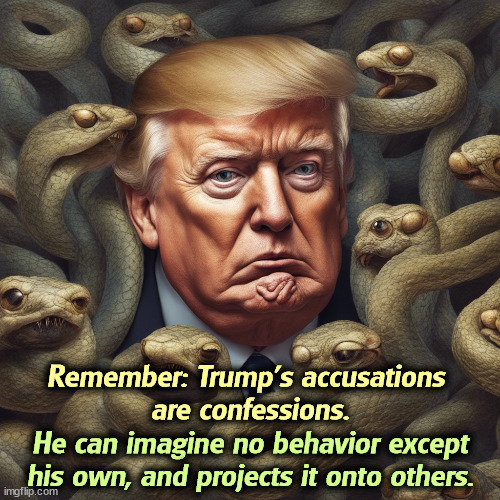 Remember: Trump's accusations 
are confessions. He can imagine no behavior except his own, and projects it onto others. | image tagged in trump,accused,confession,project,projection,sick | made w/ Imgflip meme maker