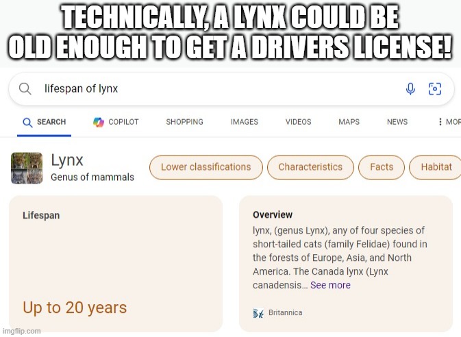 If we try hard enough, we could pull it off! | TECHNICALLY, A LYNX COULD BE OLD ENOUGH TO GET A DRIVERS LICENSE! | image tagged in meme | made w/ Imgflip meme maker