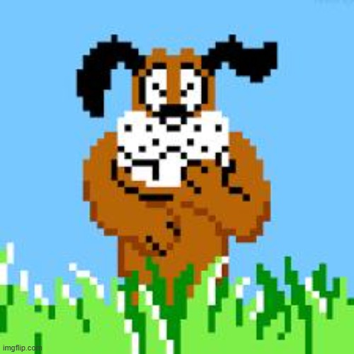 DUCK HUNT DOG LAUGHS AT YOUR STUPIDITY | image tagged in duck hunt dog laughs at your stupidity | made w/ Imgflip meme maker