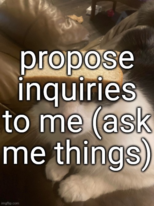h | propose inquiries to me (ask me things) | image tagged in bread cat | made w/ Imgflip meme maker