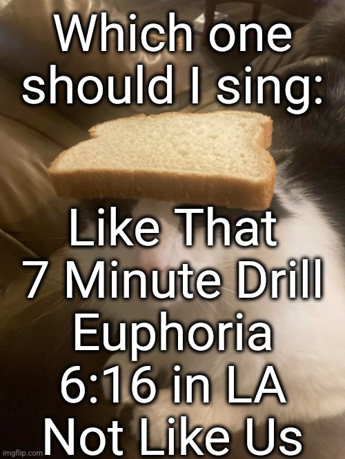 it will be posted | Like That
7 Minute Drill
Euphoria
6:16 in LA
Not Like Us; Which one should I sing: | image tagged in bread cat | made w/ Imgflip meme maker