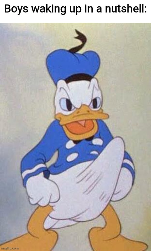 Horny Donald Duck | Boys waking up in a nutshell: | image tagged in horny donald duck,funny,boys vs girls,so true | made w/ Imgflip meme maker