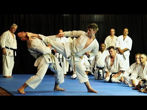 High Quality Karate Kick Face Blank Meme Template
