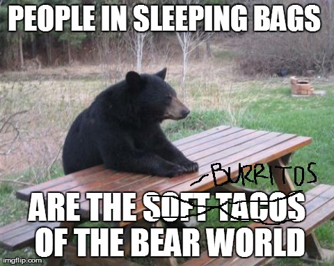 Just had to do it. | PEOPLE IN SLEEPING BAGS  ARE THE SOFT TACOS OF THE BEAR WORLD | image tagged in memes,bad luck bear | made w/ Imgflip meme maker