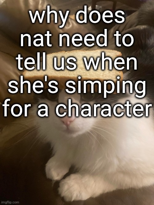 I don't tell people which character I'm simping for (normally) | why does nat need to tell us when she's simping for a character | image tagged in bread cat | made w/ Imgflip meme maker