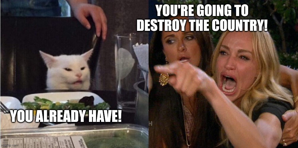 reverse cat at dinner table | YOU ALREADY HAVE! YOU'RE GOING TO DESTROY THE COUNTRY! | image tagged in reverse cat at dinner table | made w/ Imgflip meme maker