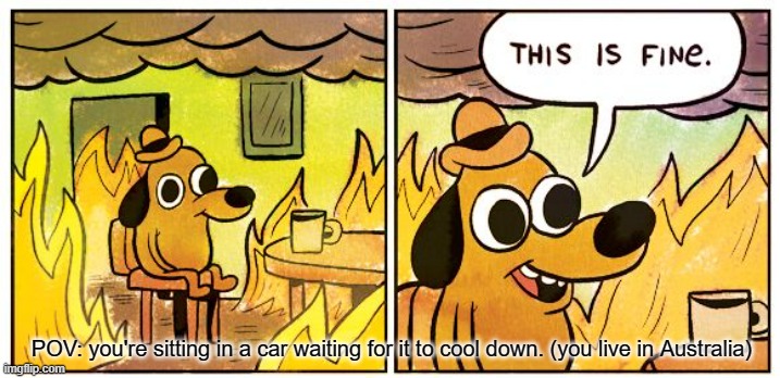 the heat just slaps you in the face when you open the door | POV: you're sitting in a car waiting for it to cool down. (you live in Australia) | image tagged in memes,this is fine,heat,australia,relatable | made w/ Imgflip meme maker