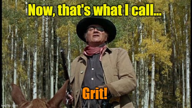 Rooster's True Grit | Now, that's what I call... Grit! | image tagged in rooster's true grit | made w/ Imgflip meme maker