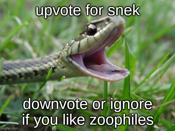 snek | upvote for snek; downvote or ignore if you like zoophiles | image tagged in baby snake snek | made w/ Imgflip meme maker