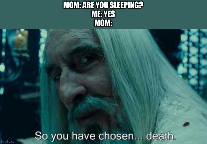 this happened to me once ? | MOM: ARE YOU SLEEPING?
ME: YES
MOM: | image tagged in so you have chosen death | made w/ Imgflip meme maker