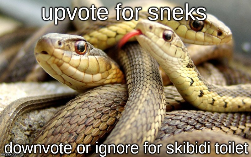 Snakes | upvote for sneks; downvote or ignore for skibidi toilet | image tagged in snakes | made w/ Imgflip meme maker