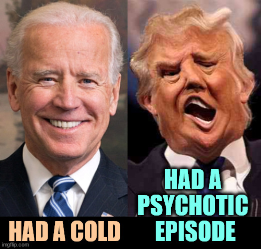 MAGA confuses volume with brains. | HAD A 
PSYCHOTIC 
EPISODE; HAD A COLD | image tagged in biden solid stable trump acid drugs,biden,cold,trump,psycho,liar | made w/ Imgflip meme maker