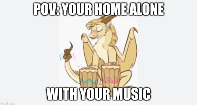 Qibli's drums | POV: YOUR HOME ALONE; WITH YOUR MUSIC | image tagged in qibli's drums | made w/ Imgflip meme maker