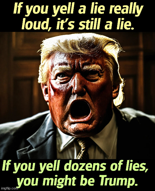 If you yell a lie really loud, it's still a lie. If you yell dozens of lies, 
you might be Trump. | image tagged in trump,liar,lies,shouter,yelling,screaming | made w/ Imgflip meme maker