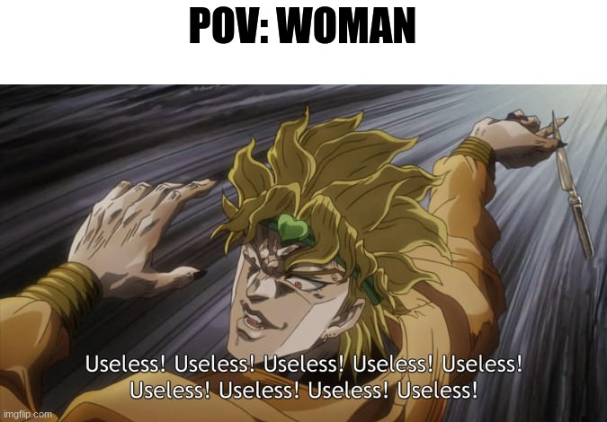 USELESS | POV: WOMAN | image tagged in useless | made w/ Imgflip meme maker