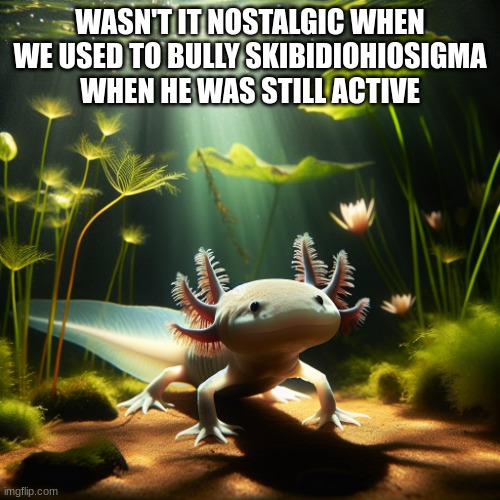axolotl | WASN'T IT NOSTALGIC WHEN WE USED TO BULLY SKIBIDIOHIOSIGMA WHEN HE WAS STILL ACTIVE | image tagged in axolotl | made w/ Imgflip meme maker