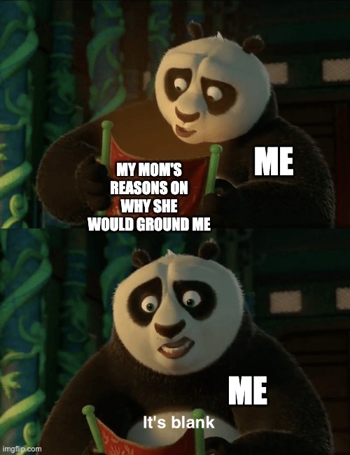 Kung Fu Panda blank | MY MOM'S REASONS ON WHY SHE WOULD GROUND ME; ME; ME | image tagged in kung fu panda blank | made w/ Imgflip meme maker