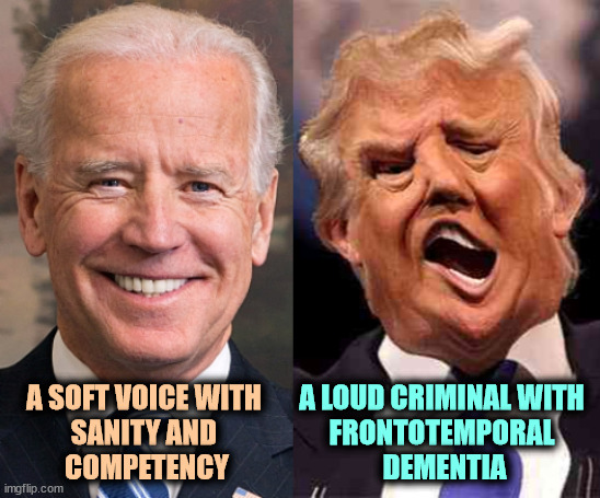 Trump was smooth, but only cult followers would swallow that barrel of bilge. | A SOFT VOICE WITH 
SANITY AND 
COMPETENCY; A LOUD CRIMINAL WITH 
FRONTOTEMPORAL 
DEMENTIA | image tagged in biden solid stable trump acid drugs,biden,stable genius,trump,senile,dementia | made w/ Imgflip meme maker