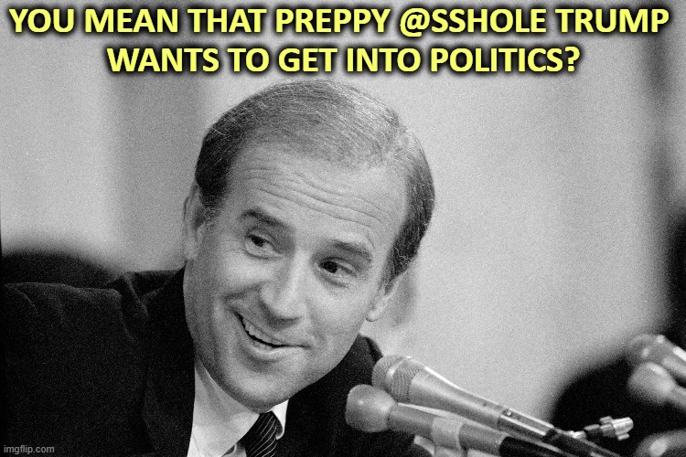 YOU MEAN THAT PREPPY @SSHOLE TRUMP 
WANTS TO GET INTO POLITICS? | image tagged in joe biden,president,donald trump,jerk | made w/ Imgflip meme maker