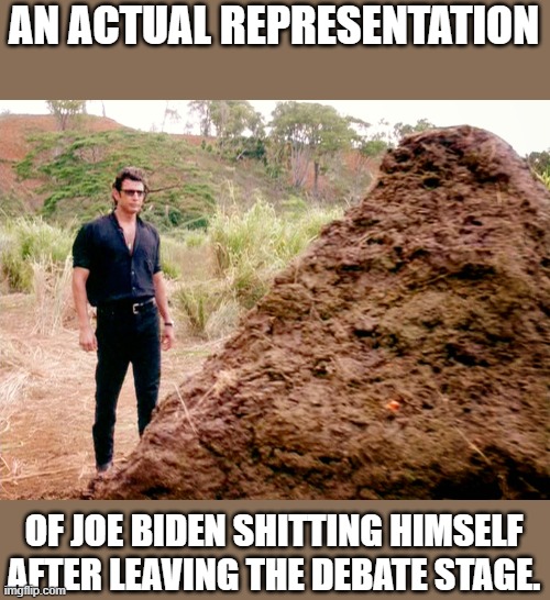 Shits Galore by Joe. LOL | AN ACTUAL REPRESENTATION; OF JOE BIDEN SHITTING HIMSELF AFTER LEAVING THE DEBATE STAGE. | image tagged in the pitch,democrats,presidential debate,joe biden | made w/ Imgflip meme maker