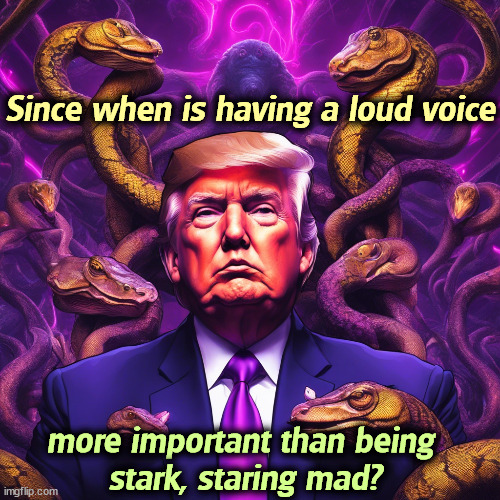Since when is having a loud voice; more important than being 
stark, staring mad? | image tagged in trump,loud_voice,mad,madness,insane,cuckoo | made w/ Imgflip meme maker