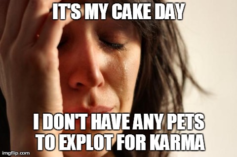 First World Problems Meme | IT'S MY CAKE DAY I DON'T HAVE ANY PETS TO EXPLOT FOR KARMA | image tagged in memes,first world problems,AdviceAnimals | made w/ Imgflip meme maker