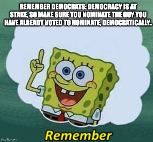 Remember | REMEMBER DEMOCRATS: DEMOCRACY IS AT STAKE, SO MAKE SURE YOU NOMINATE THE GUY YOU HAVE ALREADY VOTED TO NOMINATE, DEMOCRATICALLY.. | image tagged in remember | made w/ Imgflip meme maker