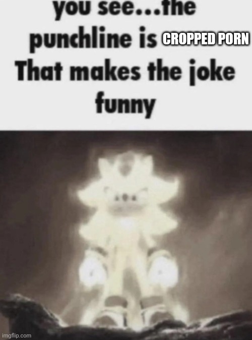 You see the punchline is that makes the joke funny shadow | CROPPED PORN | image tagged in you see the punchline is that makes the joke funny shadow | made w/ Imgflip meme maker