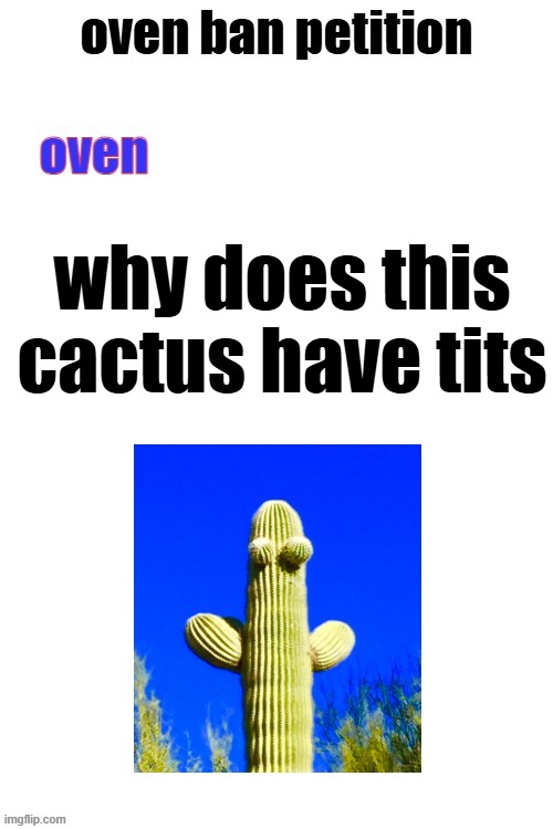 where can i get one | why does this cactus have tits | image tagged in oven ban petiton sign if you like megasized cocks | made w/ Imgflip meme maker