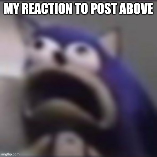 . | MY REACTION TO POST ABOVE | made w/ Imgflip meme maker