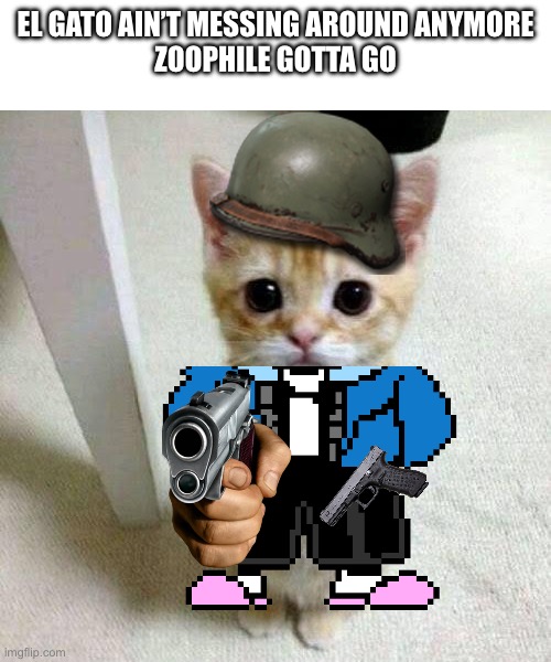 El gator has had enough | EL GATO AIN’T MESSING AROUND ANYMORE
ZOOPHILE GOTTA GO | image tagged in cat,sans,anti furry,furry,memes | made w/ Imgflip meme maker